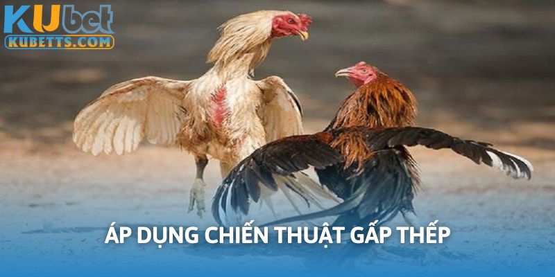 Chiến thuật gấp thếp mang lại hiệu quả cao