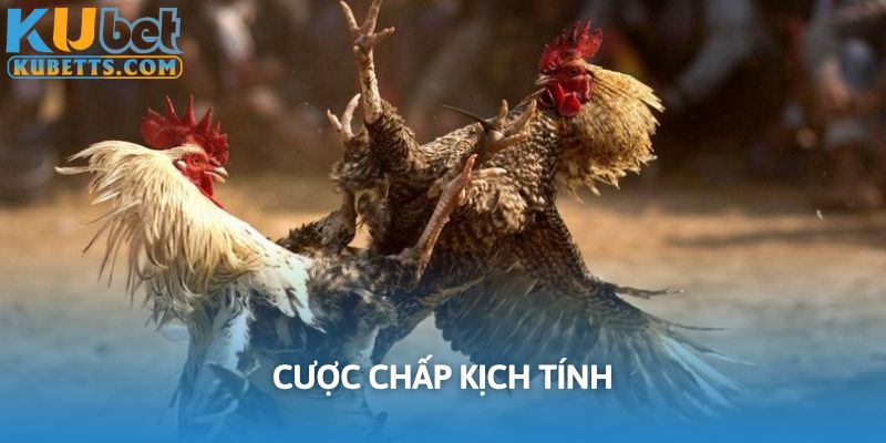 Cược chấp phù hợp với những người có kinh nghiệm