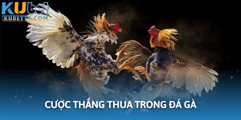 Thắng thua là kèo cược cơ bản cần trải nghiệm