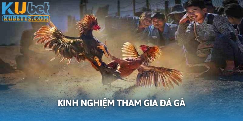 Trang bị kinh nghiệm cần thiết giúp cá cược hiệu quả