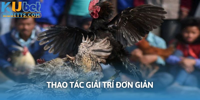 Thao tác giải trí đơn giản được nhà cái hỗ trợ