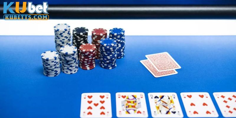 Giới thiệu đôi nét về fish trong poker