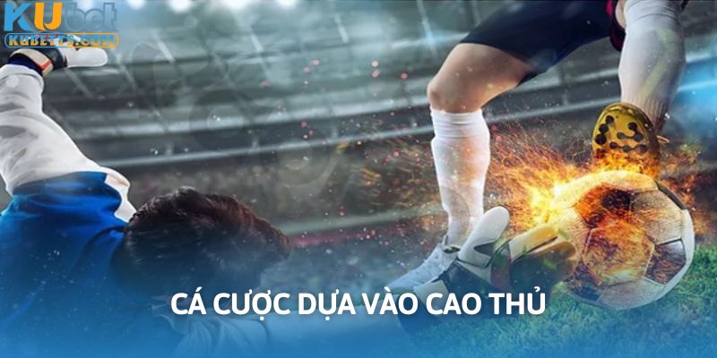 Dựa vào cao thủ để đưa ra lựa chọn tối ưu