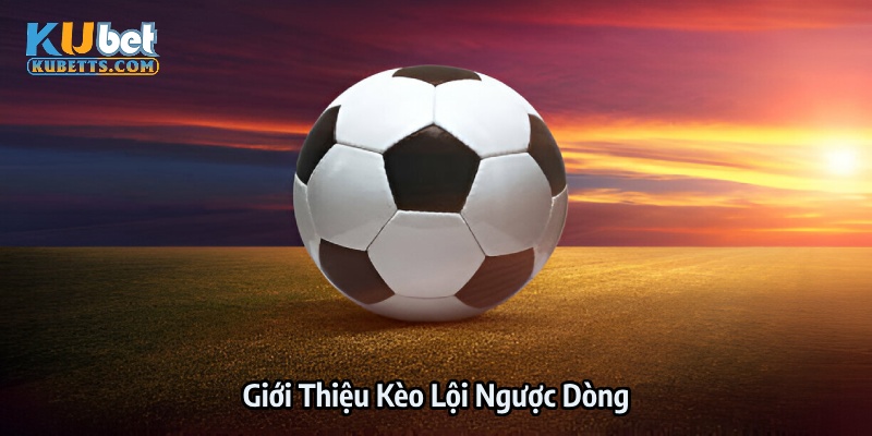 Tìm hiểu thông tin cơ bản của kèo lội ngược dòng