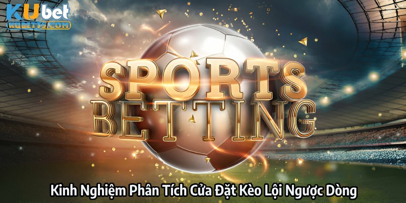 Mẹo phân tích cửa đặt chuẩn từ cao thủ