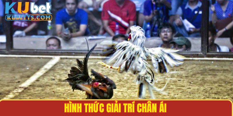 Hình thức giải trí hợp pháp, game cược chân ái